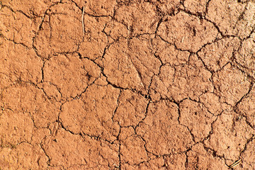 Dried ground texture
