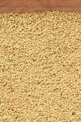 Close up of coffee beans for background                               