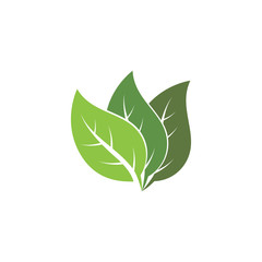 Logos of green Tree leaf ecology nature element