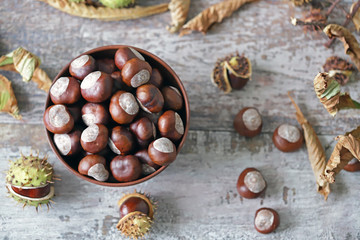 Chestnuts in a bowl. Buckeyes. Autumn composition with chestnuts.