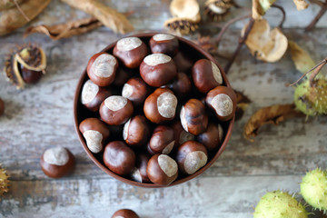 Chestnuts in a bowl. Buckeyes. Autumn composition with chestnuts.
