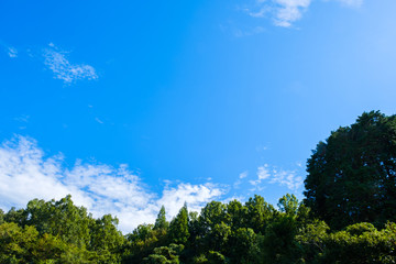 Obraz premium 【写真素材】 青空 空 雲 秋の空 背景 背景素材 9月 コピースペース 