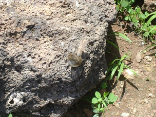 ecuador