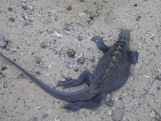 ecuador
