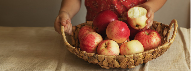 A child holds a wicker basket full of harvested apples. Autumn is the time to harvest. Natural products.