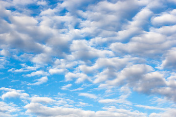 clouds of an average tier high cumulus, on a blue background of the sky