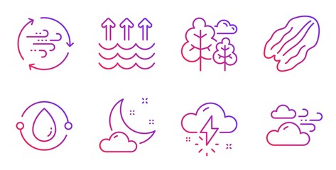 Wind energy, Thunderstorm weather and Evaporation line icons set. Cold-pressed oil, Tree and Pecan nut signs. Night weather symbol. Breeze power, Thunder bolt. Nature set. Vector