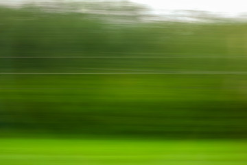 Trees in motion as an abstract background.