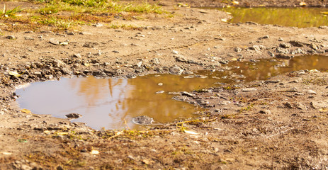 Puddle on a dirt road with autumn reflection
