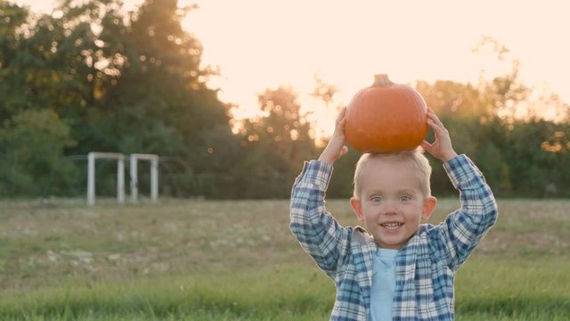 Cute child (toddler boy) playing with pumpkin. Kid at farm, harvesting time, picnic, fall autumn season concept. Outdoor activities