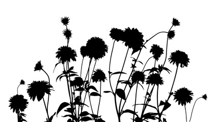 Silhouette of flowers. Vector illustration