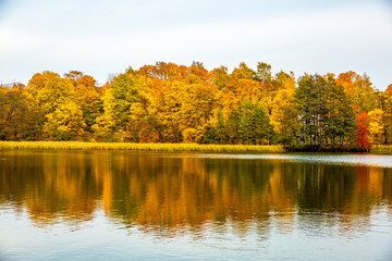 Colorful foliage in the autumn park. Autumn Landscape