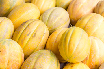 Ripe yellow shugar sweet melons on stand at the marketplace. Selective focus.