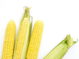 Corn on the cob isolated on a white background, top view.