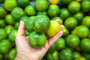 selection of green tangerines in the store, a male hand holds three tangerines