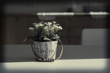 Fake tree on table in room,with copy space.