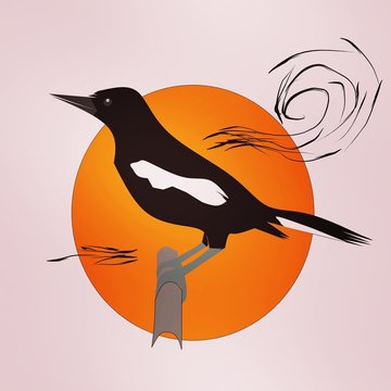 Design bird "kacer" on white background