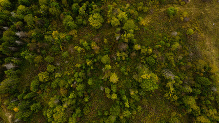 Naklejka premium Aerial view of Forest destruction, Deforestation, Environmental problem.