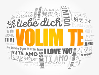Volim te ( I Love You in Croatian) word cloud in different languages of the world
