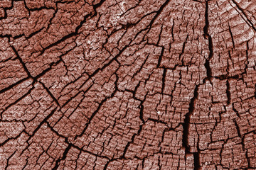 Abstract texture with cracks. Old uneven surface.
