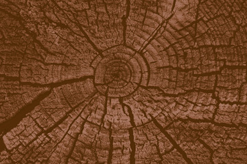 Abstract texture with cracks. Old uneven surface.