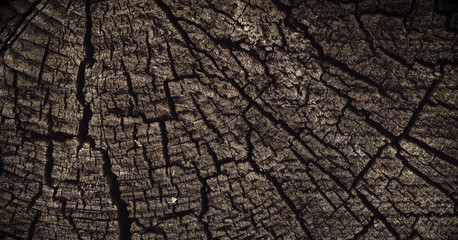 Abstract texture with cracks. Old uneven surface.