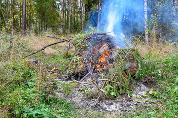 big fire in autumn in Varmland Sweden