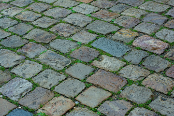 Old cobblestone pavement with green grass and moss growing between the stones