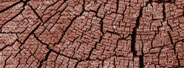 Abstract texture with cracks. Old uneven surface.