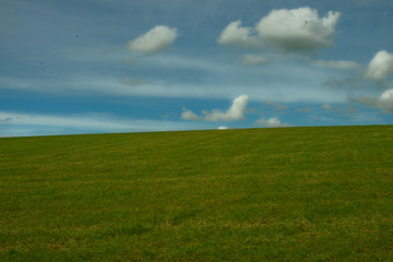 Green grass field and blue cloudy sky