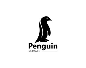 Penguin bird Logo Template vector icon illustration design