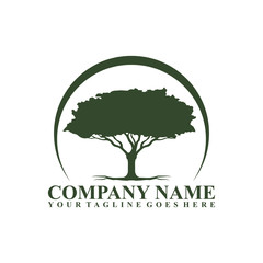 Obraz premium Tree logo design. Tree of life logo design isolated on white background.