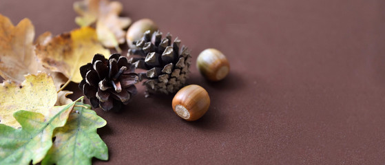 Autumn background with leaves cones and acorns on brown fabric