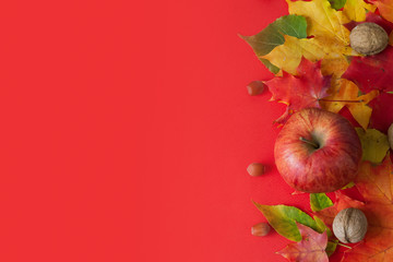 Autumn leaves, apples and nuts over old red background with copy space