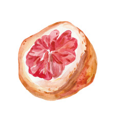 Watercolor hand drawn pink grapefruits. Isolated eco natural food fruits illustration on white background.Slice of grapefruit drawing by watercolor