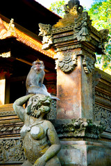 Ubud Monkey Forest - Bali - Indonesia