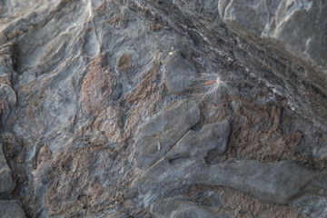 Stone background/The detail texture of sand stone/Natural slate stone texture background/