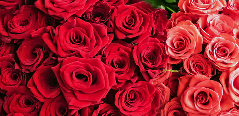 Bunch Of Red Roses background Valentine's Day