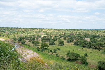 Fototapeta na wymiar Safari Tanzania