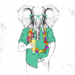 Retro Hipster animal elephant with tropic cocktail