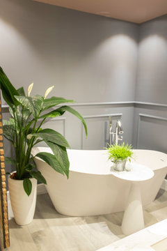 Salle de bain style rétro hôtel particulier parisien type Haussmanien avec une baignoire sabot une belle plante verte un guéridon blanc et des murs gris anthracite