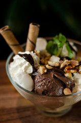 chocolate and mint vanilla ice cream sundae dessert in bowl