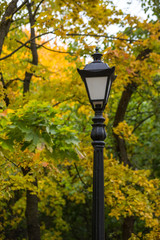 Street lamp in the thicket of the autumn city Park. Early autumn in cloudy weather.Concept: lyrical mood.