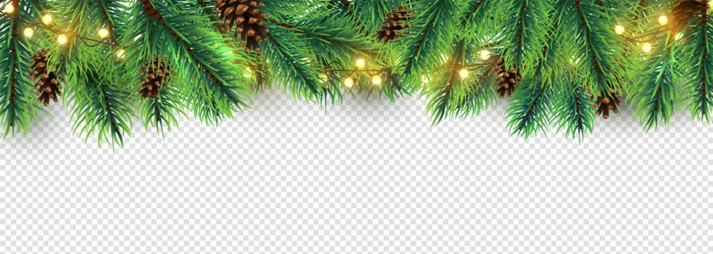 Christmas border. Holiday garland isolated on transparent background. Vector Christmas tree branches, lights and cones. Festive banner design. Christmas branch coniferous garland border illustration