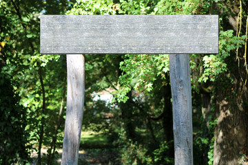 Panneau en bois dans forêt, avec fond vert feuillages et espace pour du texte