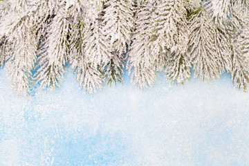 Christmas composition. Beautiful Xmas card background border with snowy winter fir branches