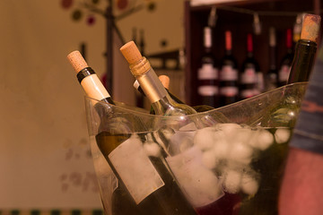  degustacion de vinos españoles vino blanco gastronomía