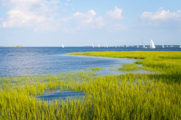 Scenic summer view of sailboats crossing the blue waters of the tidal Cooper River running into a harbor lined with green lowcountry marsh grasses in Charleston, South Carolina, USA - obrazy, fototapety, plakaty