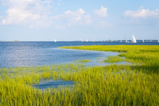 Scenic summer view of sailboats crossing the blue waters of the tidal Cooper River running into a harbor lined with green lowcountry marsh grasses in Charleston, South Carolina, USA