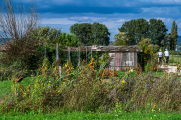 They still exist: in a world full of increasing human order and cold rational architecture, a simple garden with wild flowers and wooden sheds seems almost paradisiac. Lake Constance region.